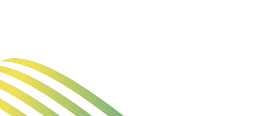 Strategic Cyber Defense