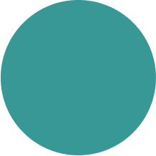 Strategic Cyber Defense